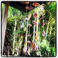 Home Made Shell Wind Chimes